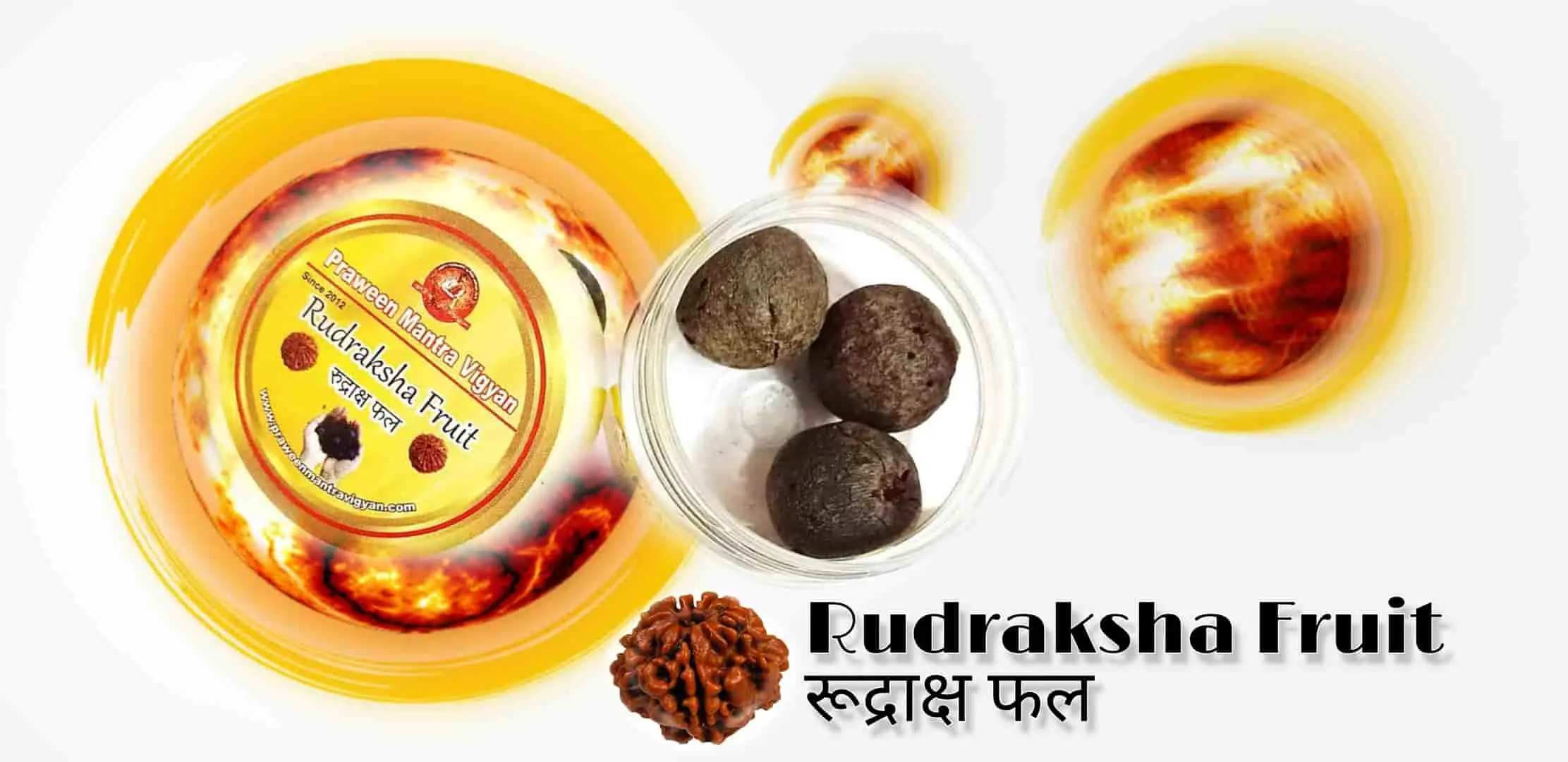 5 mukhi Nepali rudraksha