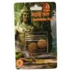 rudraksha fruit